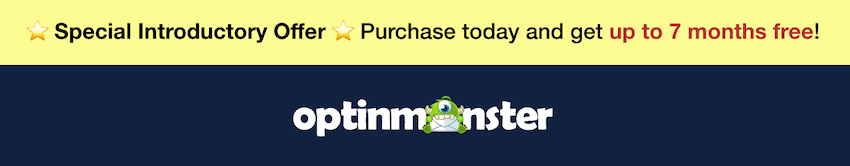 what is included in optinmonster black friday deal
