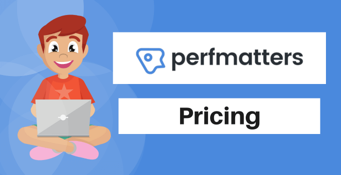 perfmatters pricing plans